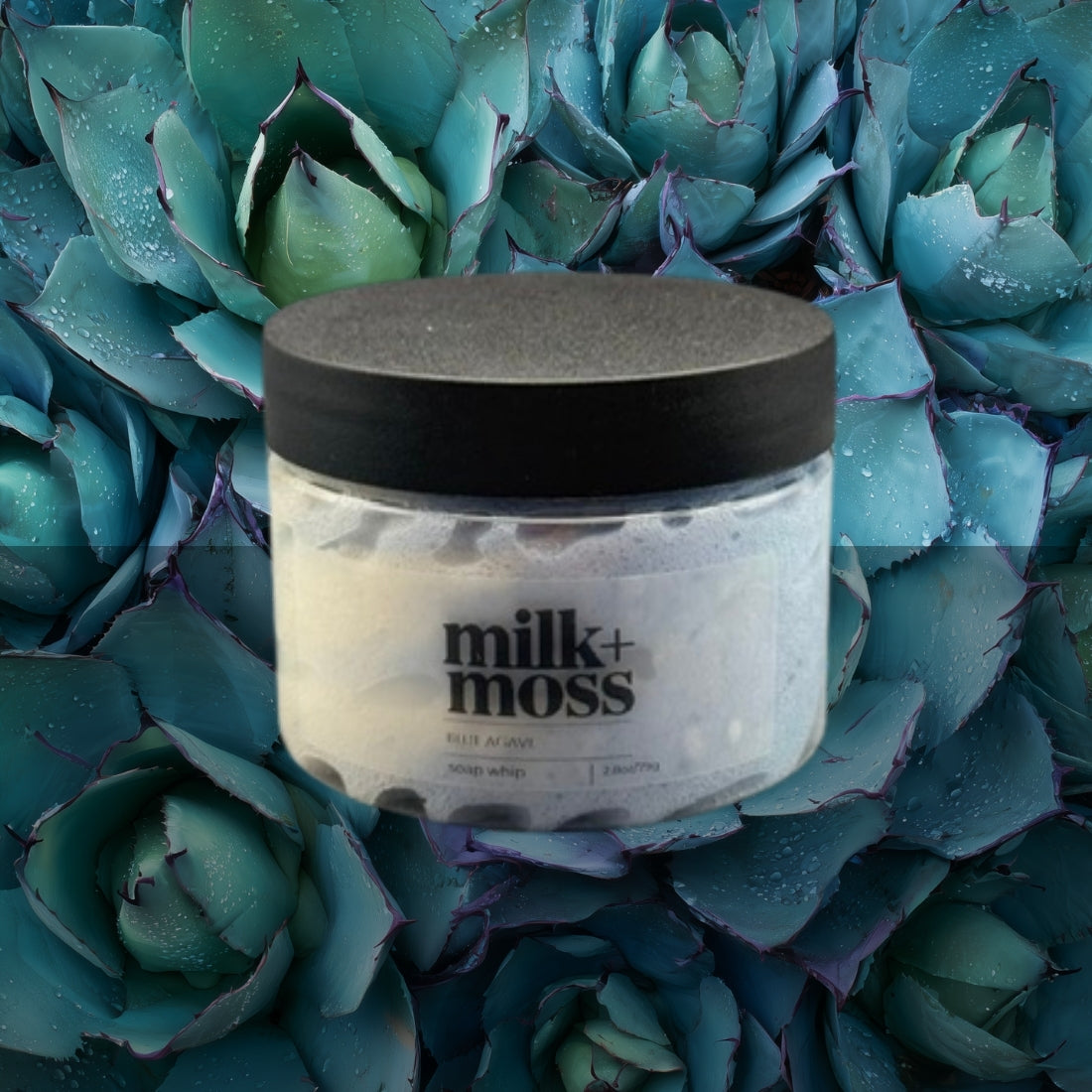 Jar of 'milk+moss' product on a background of blue succulents