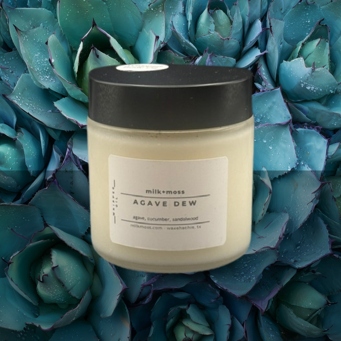 jar labeled 'Agave Dew' by milk+moss on a background of succulents